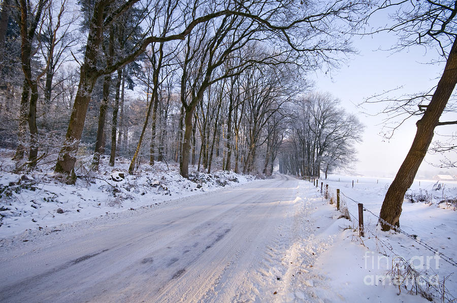 Winter Road Photograph by David Lichtneker