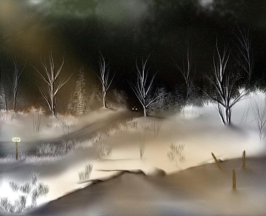 Tree Digital Art - Winter Road by Diane Storer