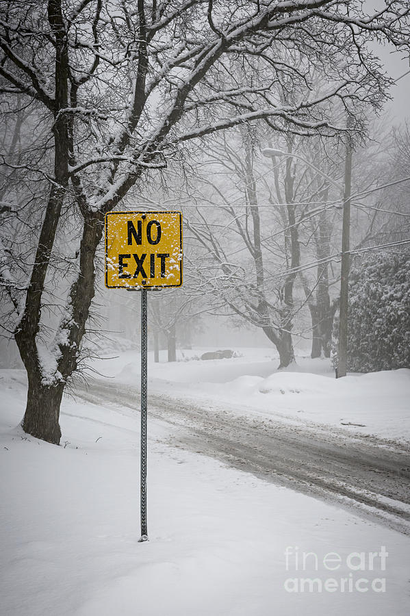 Winter road during snowfall II Photograph by Elena Elisseeva