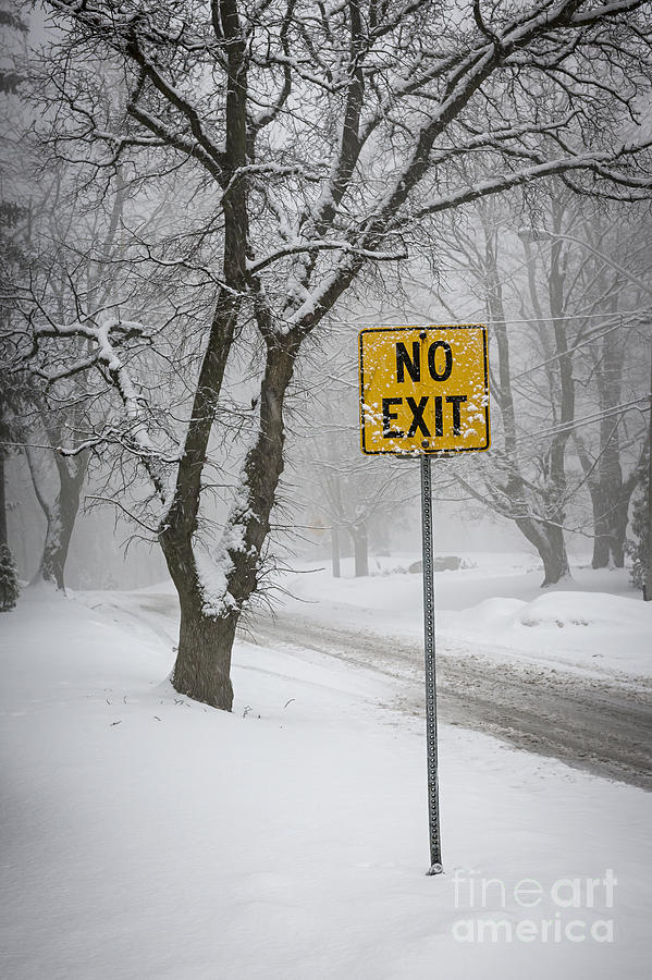 Winter road during snowfall III Photograph by Elena Elisseeva