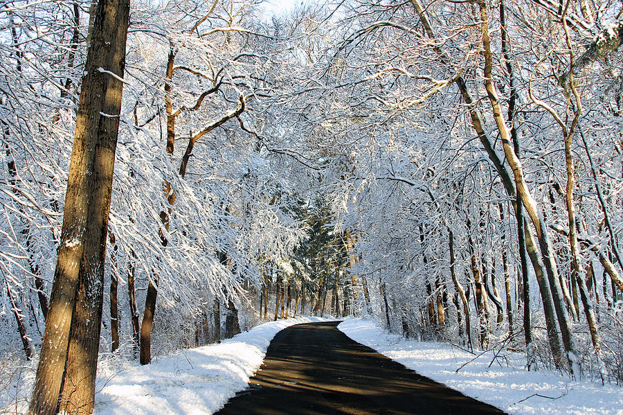 Winter Road Photograph by Jackson Pearson