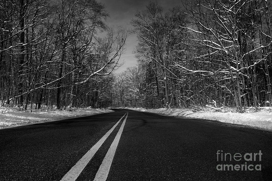 Winter Road Photograph by Mark Miller