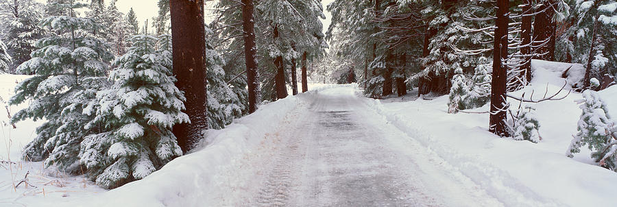 Winter Road Near Lake Tahoe, California Photograph by Panoramic Images
