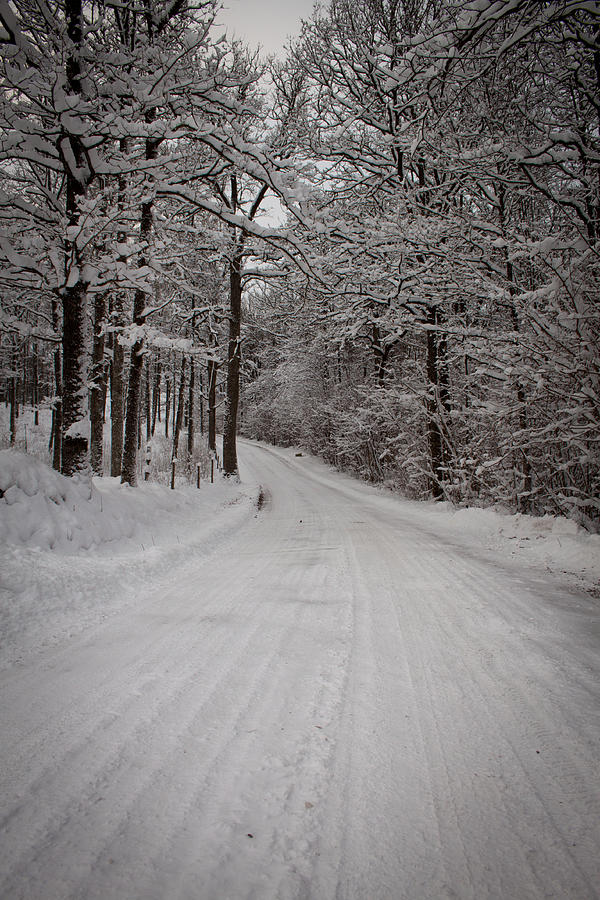 Nature Photograph - Winter Road by Robert Hellstrom