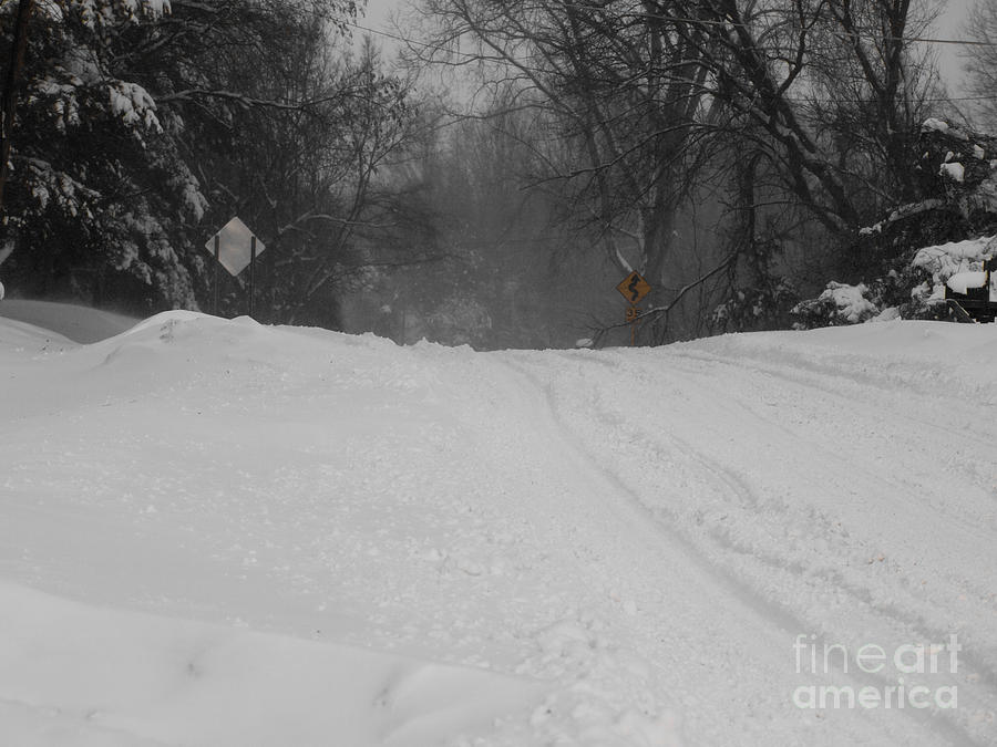 Winter Photograph - Winter Road by Tara Lynn