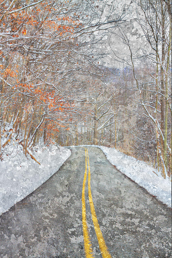Winter Road Through Woods Digital Art by Randy Steele