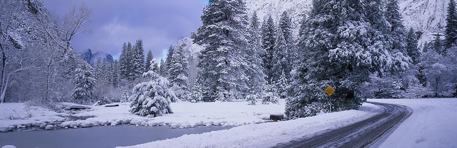Winter Road, Yosemite Park, California Photograph by Panoramic Images