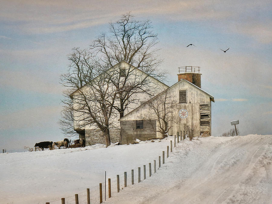 Barn Photograph - Winter Roads by Lori Deiter