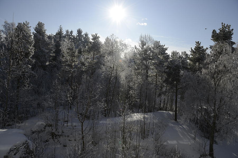 Fine Photograph - Winter Romance 3 by Teo SITCHET-KANDA Fine Photograph - Winter Romance 3 by Teo SITCHET-KANDA