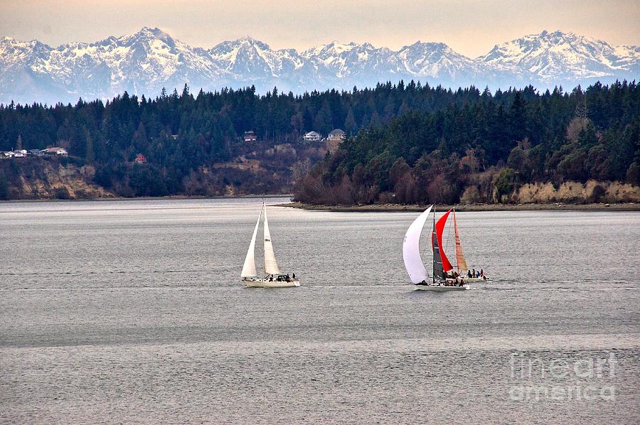 Winter Sails Photograph by Sean Griffin