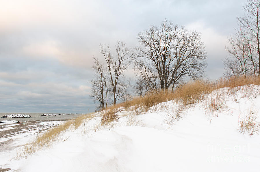 Winter Sand Dune Photograph by Karen English