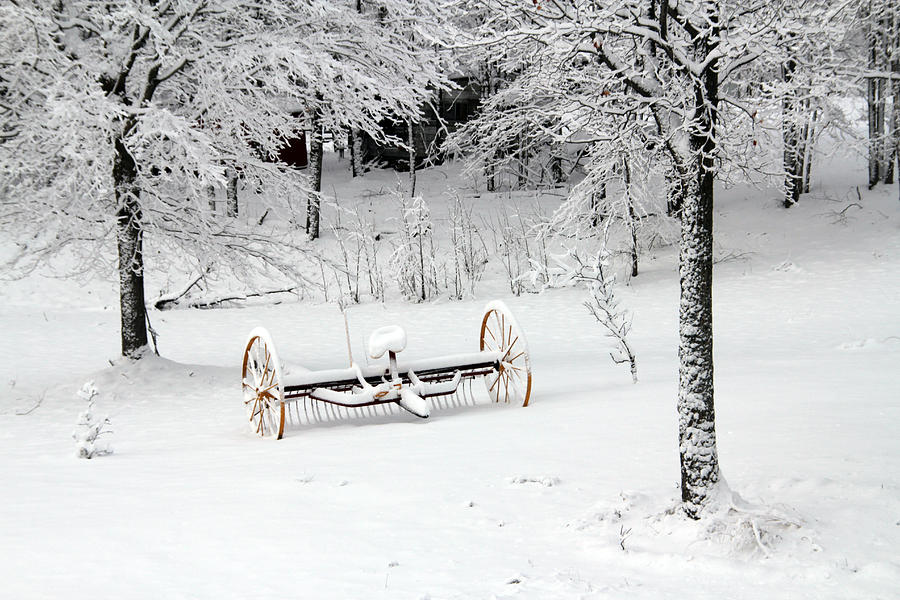 Winter Scene 1 Photograph by Jim Vance