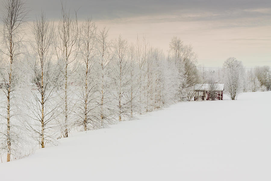 Nature Photograph - Winter Scene 2 by Jukka Heinovirta