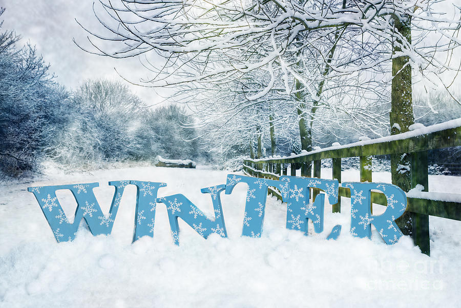 Winter Photograph - Winter Scene #2 by Amanda Elwell