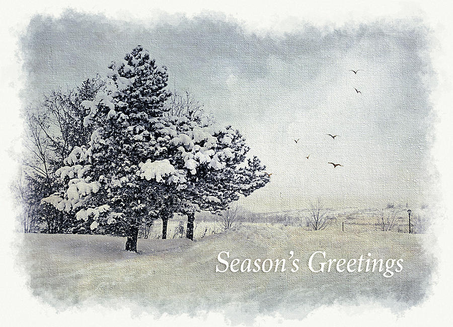 Winter Scene Greeting Card Photograph by Julie Palencia