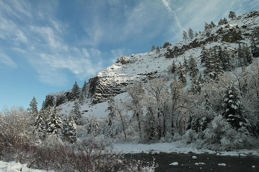 Winter Scene Photograph