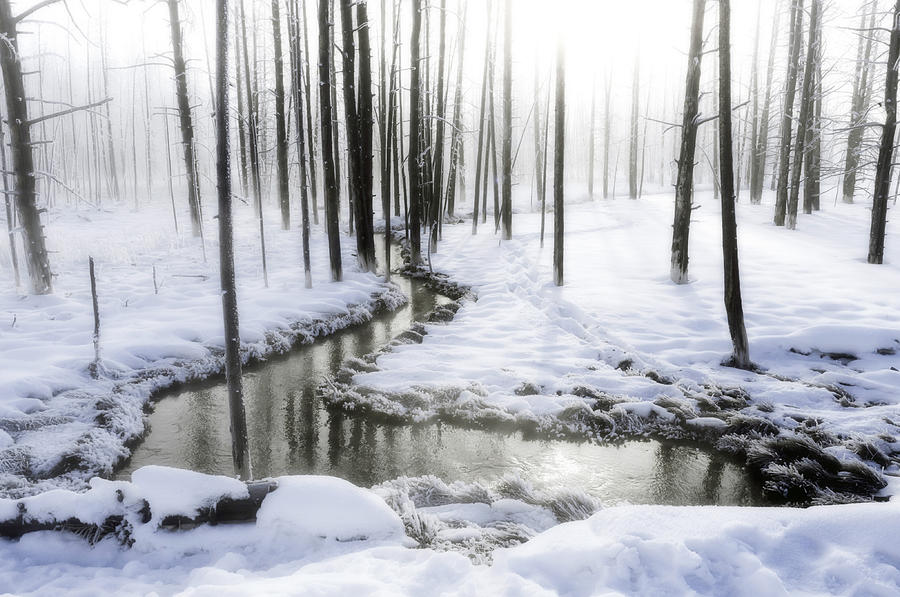Winter scene Photograph by Jennifer LaBouff
