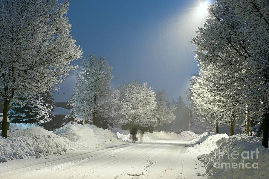 Winter scene  Photograph by Les Palenik