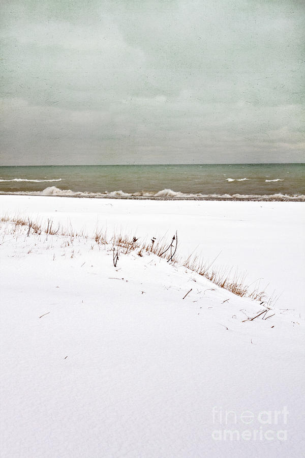 Winter Scene Photograph by Margie Hurwich