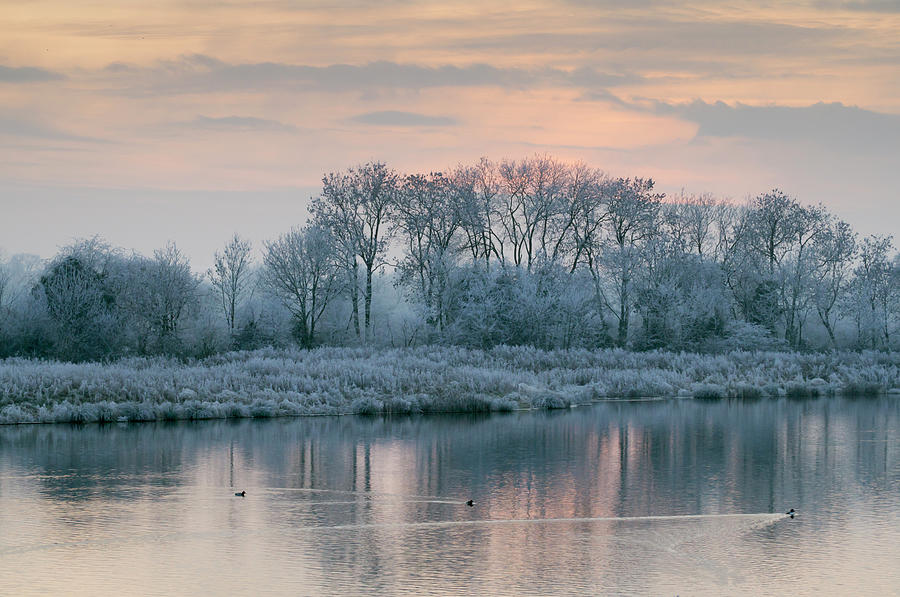 Winter Scene On Cotswold Water Park Photograph by Charles Bowman