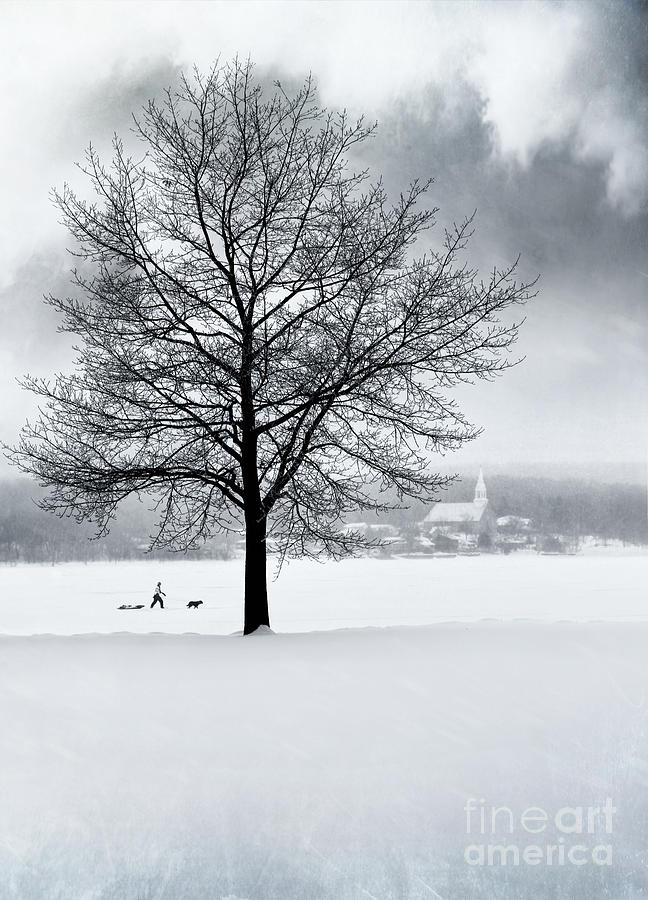 Winter scene with tree and village in background Photograph by Sandra Cunningham