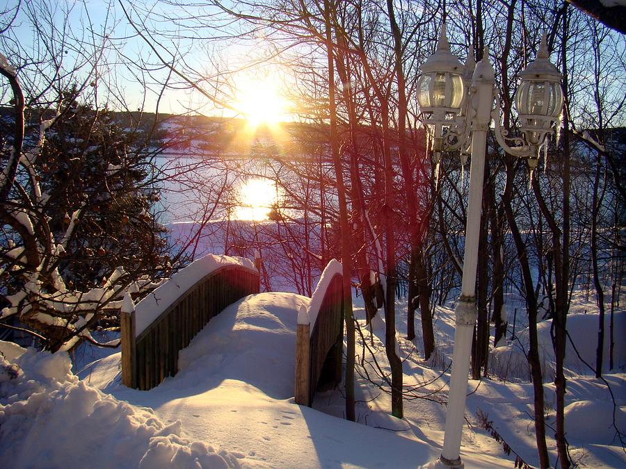 Winter Scene  Photograph by Zinvolle Art