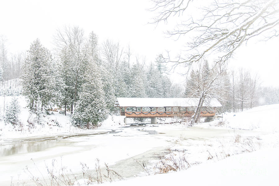Winter Scenery Photograph by Cheryl Baxter