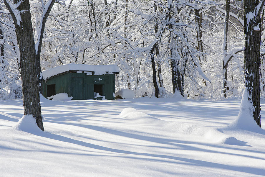 Winter Photograph - Winter Scenes 2 by David Lester