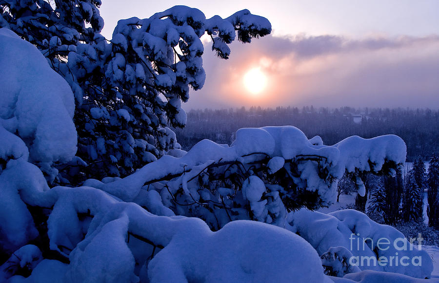 Winter Scenic 1 Photograph by Terry Elniski