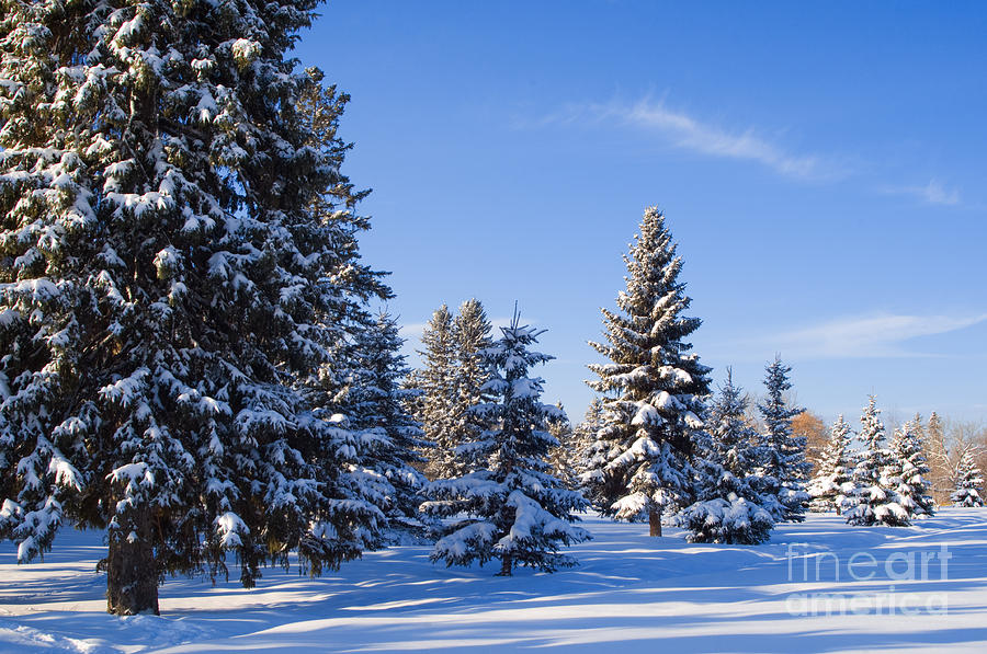 Winter Scenic 15 Photograph by Terry Elniski