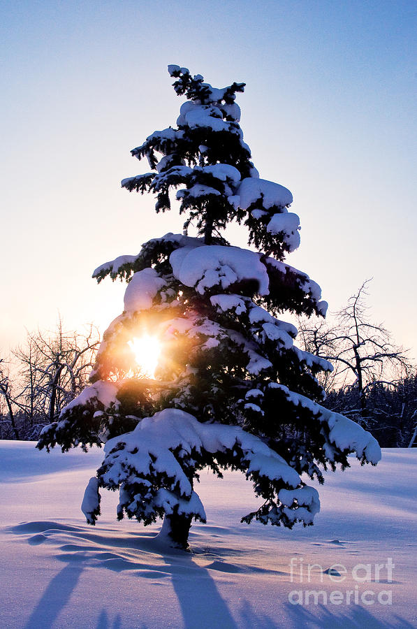 Winter Scenic 3 Photograph by Terry Elniski