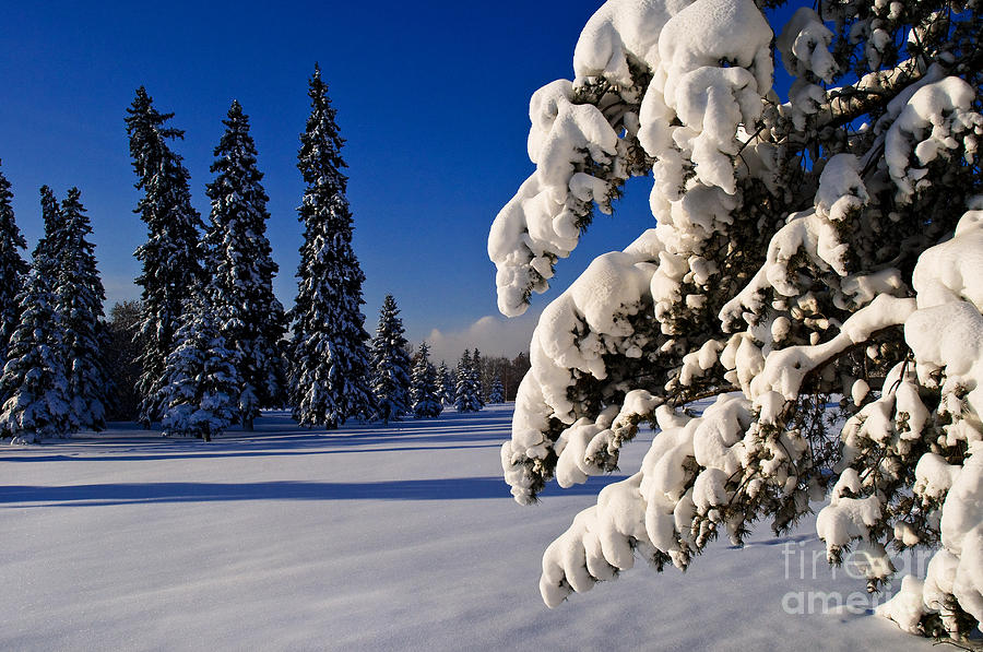 Winter Scenic 4 Photograph by Terry Elniski
