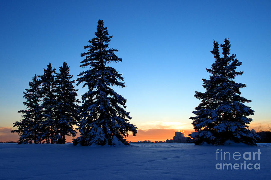 Winter Scenic At Sunset Photograph by Terry Elniski