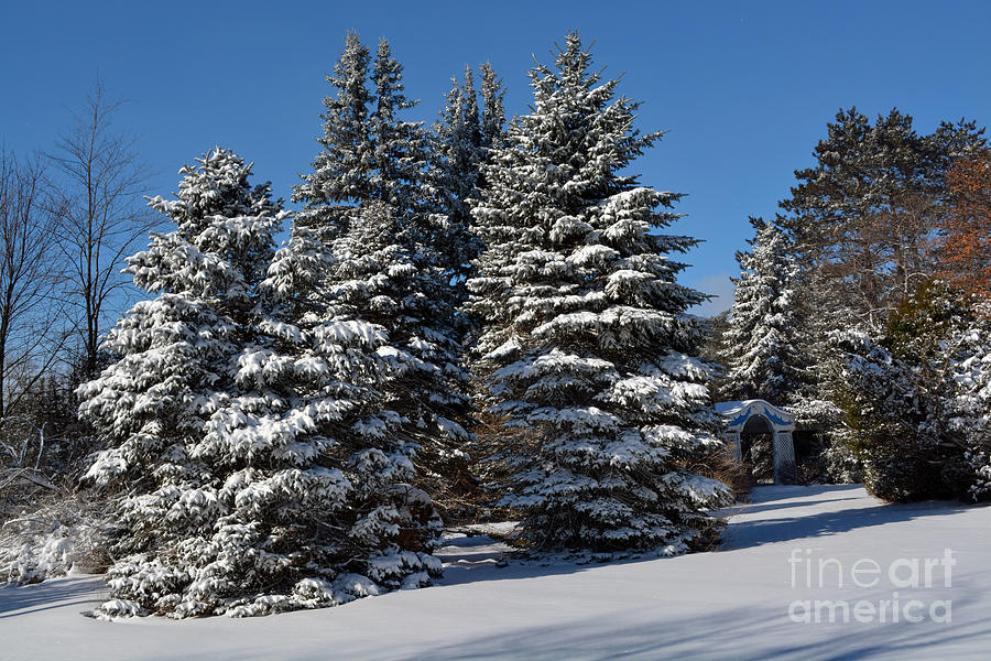 Winter Scenic Landscape Photograph by Gary Keesler