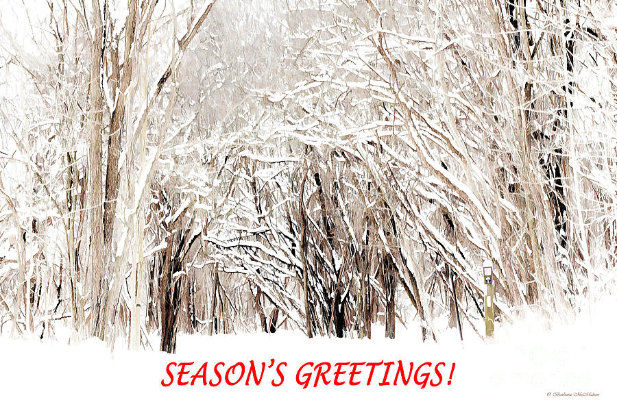 Winter Season Greeting Card Photograph by Barbara McMahon