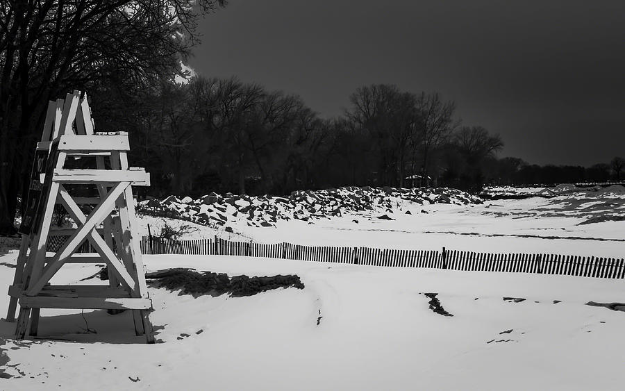 Winter Sentinels by Kathleen Scanlan Photograph by Kathleen Scanlan