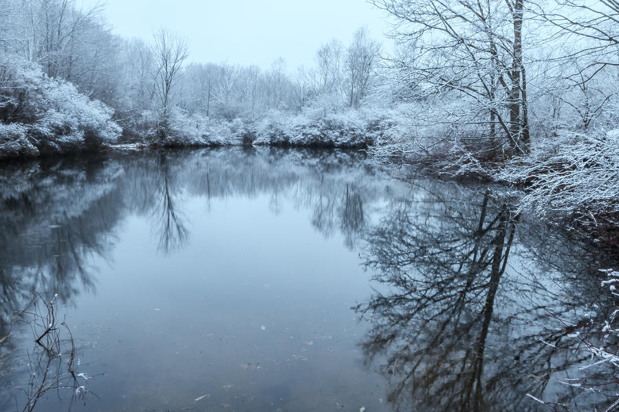Winter Serenity Photograph by Bryan Bzdula