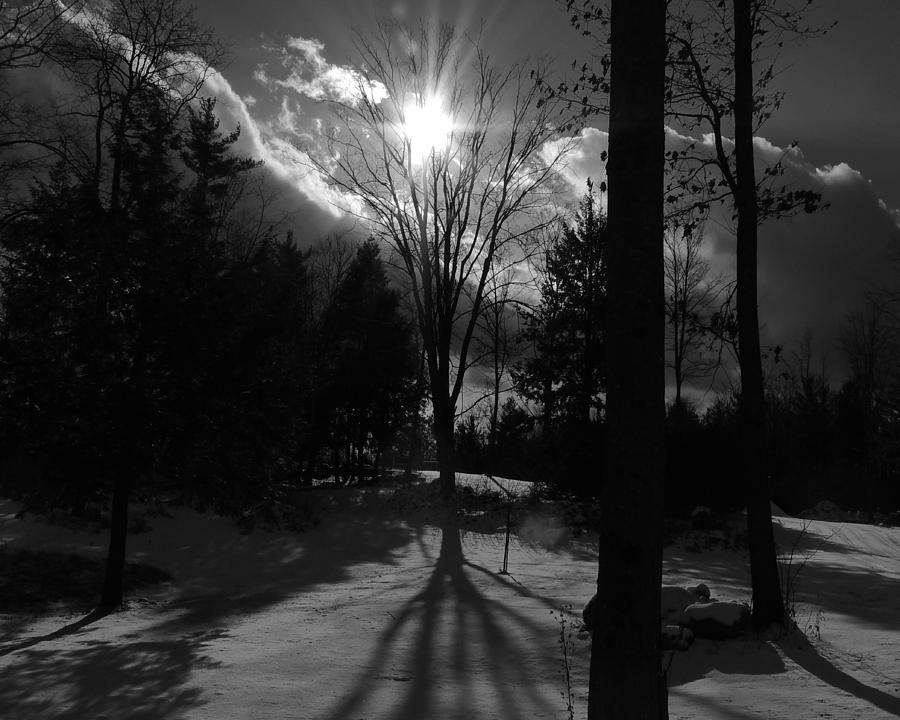 Winter Shadow Photograph by Mim White