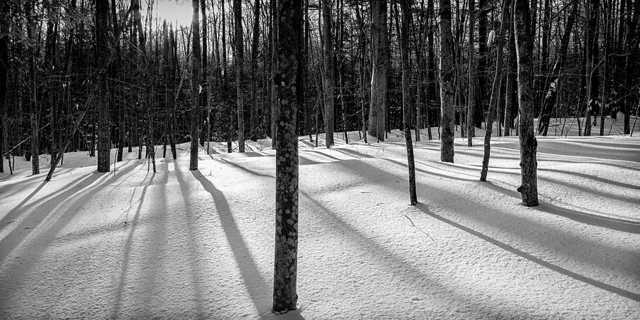 Winter Shadows Photograph by Jeff Sinon