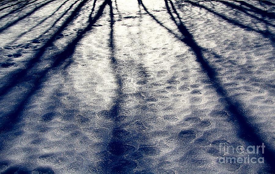 Winter Shadows Photograph by Roland Stanke