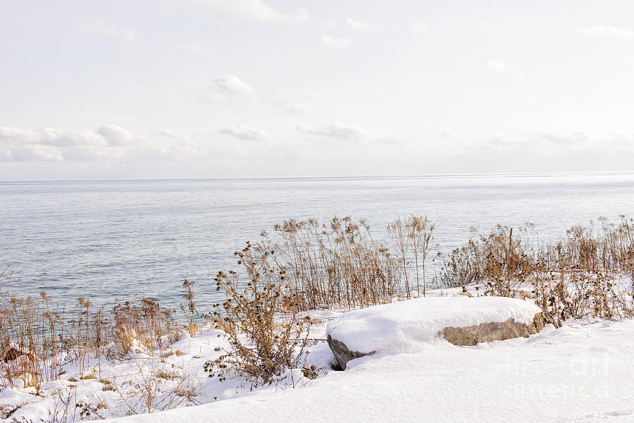 Winter shore of lake Ontario 3 Photograph by Elena Elisseeva