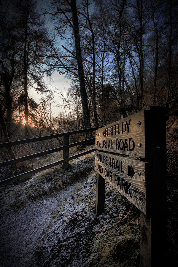 Winter Photograph - Winter Sign by Fraser Hetherington