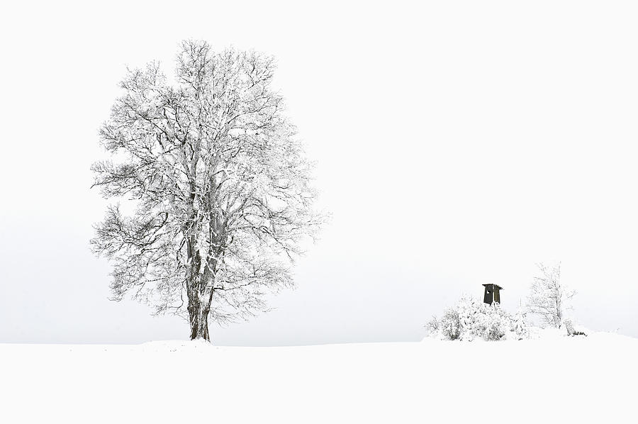 Winter Silence, Austria Photograph by Franz Aberham