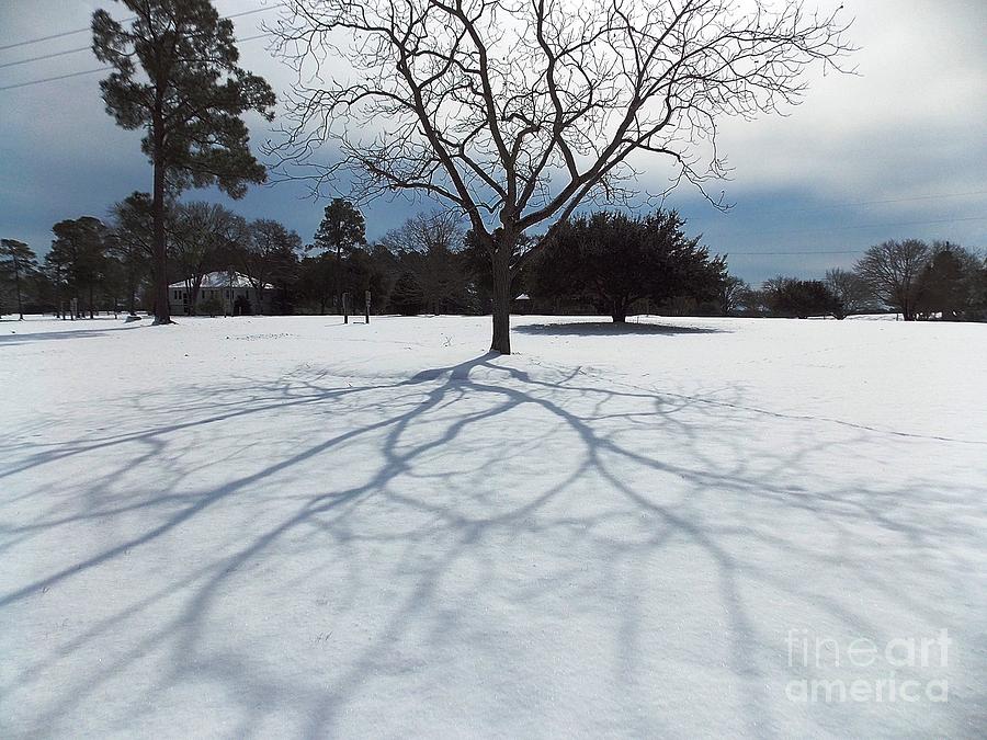Winter Silence Photograph by Matthew Seufer