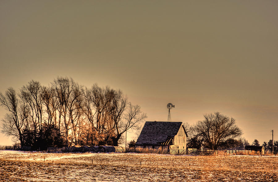 Winter Silence Photograph by Thomas Danilovich