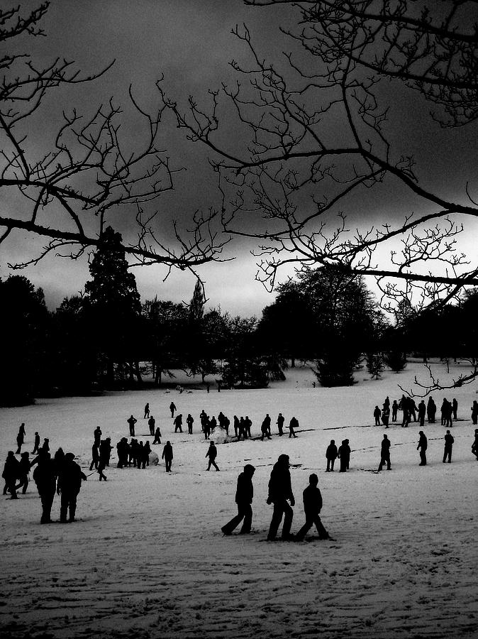 Winter Silhouettes Photograph by Steve Ball