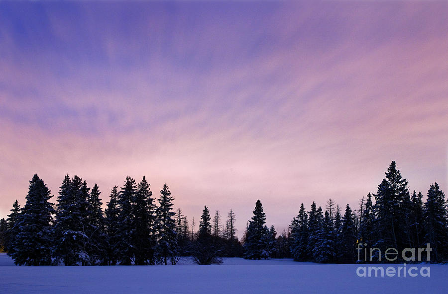 Winter Sky At Dusk Photograph by Terry Elniski