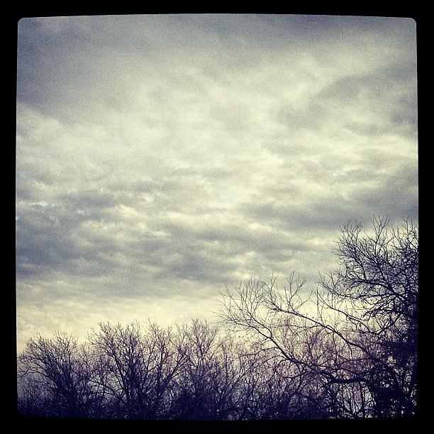 Winter Photograph - #winter #sky #clouds #trees by Greta Olivas