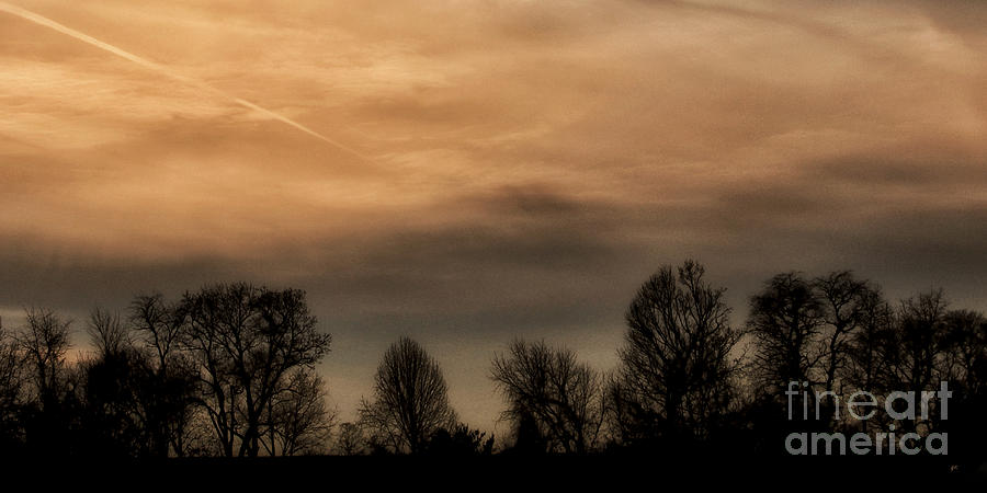Nature Photograph - Winter Sky by Gerlinde Keating