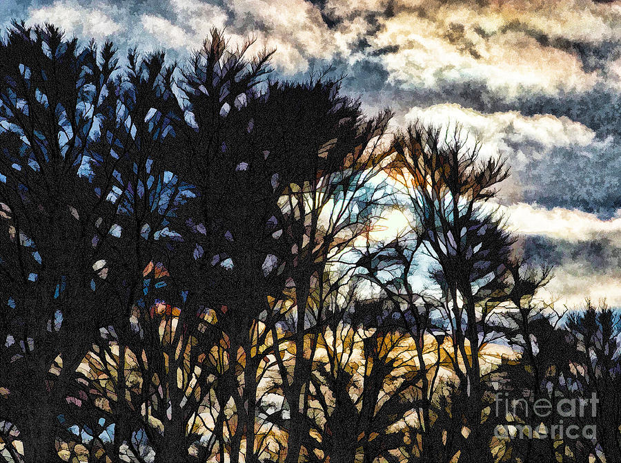 Winter Sky Photograph by Mary Underwood